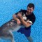 Siberian Husky﻿ Water Therapy