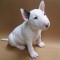10 Best Family Dog Breeds