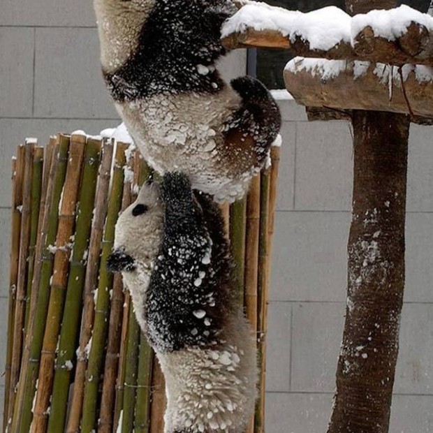 Perfect Timing