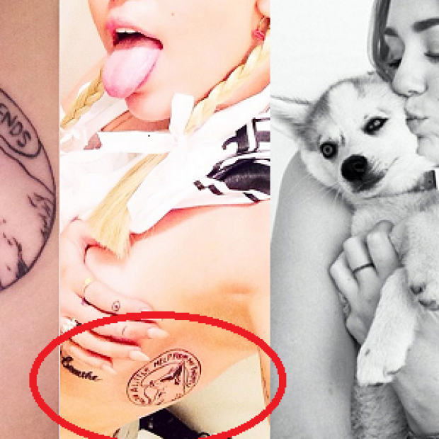 The sad story of Miley Cyrus and her dog Floyd