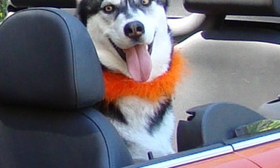 car rides