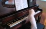 This little puppy was born to play the piano!