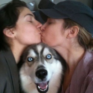 10 Dog Photobombs