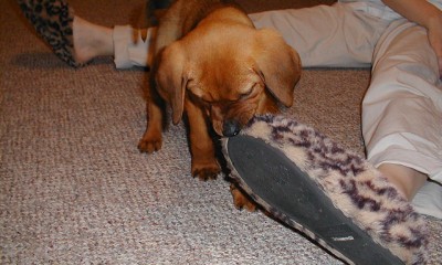 Destroys things