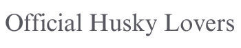 Official Husky Lovers